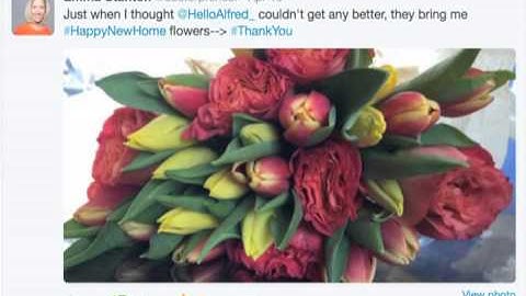 Hello Alfred TechCrunch Disrupt Cup Video