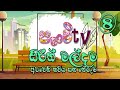    panchi tv  tv  8  