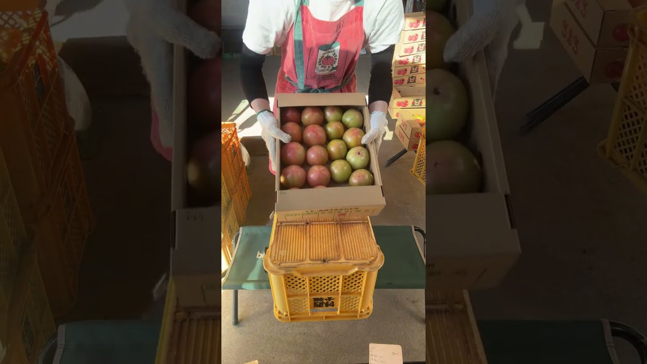 農家の嫁。Youtuberになる がライブ配信中！