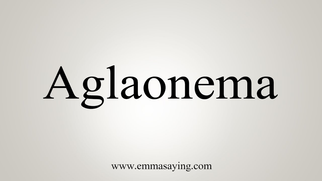 How To Say Aglaonema