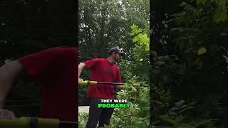 Don’t let trees grow over septic tanks