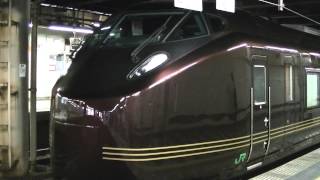 E655系『和』団臨 上野駅発車