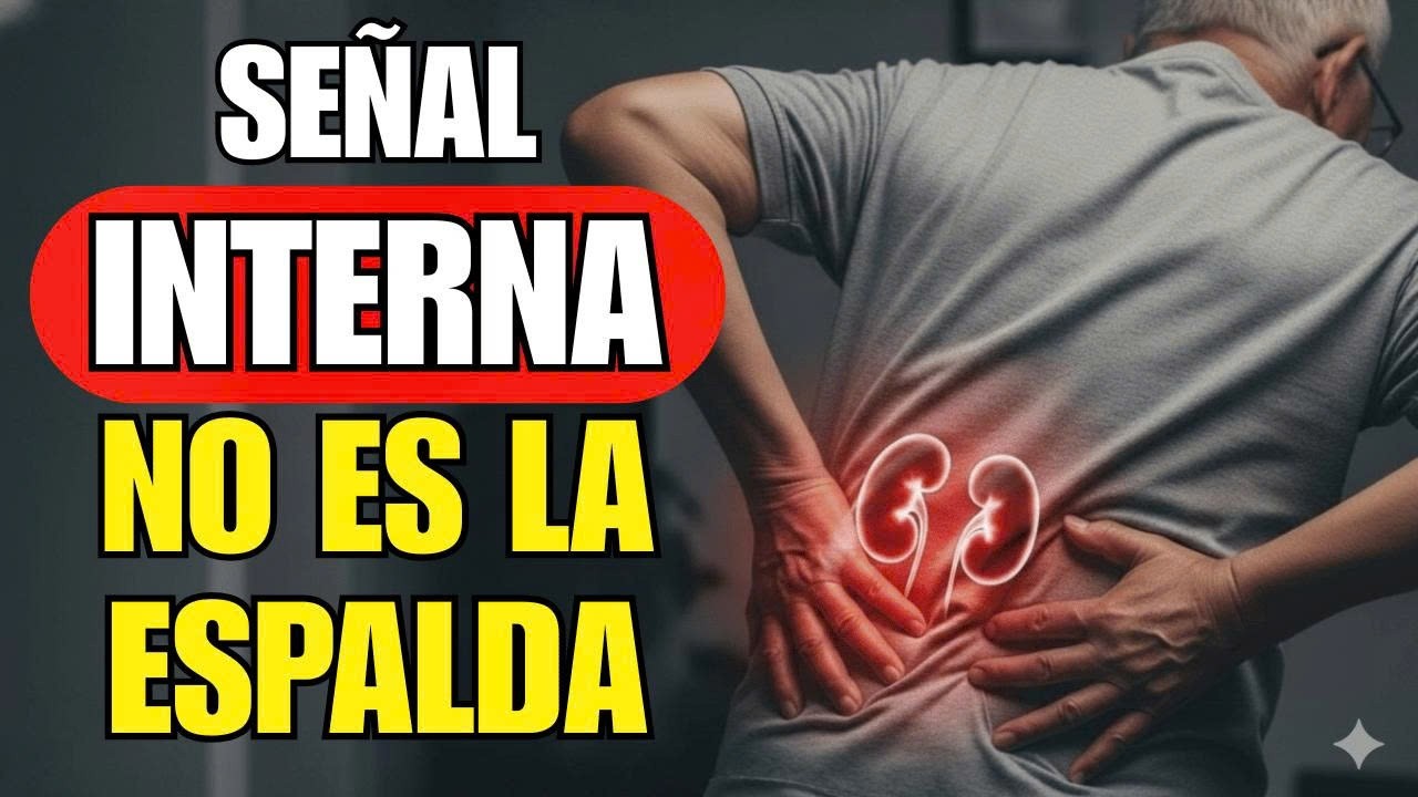 Si te Duele el RIÑÓN: No es la Espalda Es Tu Filtro Fallando pero estas a tiempo