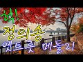 사람들의 마음을 사로잡는 오래된 트로트 노래 정의송 옛트롯 메들리