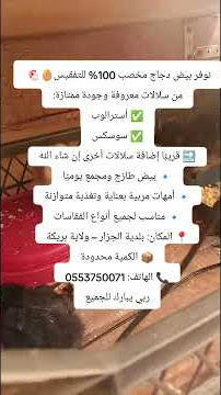 توفر لكممزرعة مرابع الخير بيض دجاج مخصب 100% للتفقيس