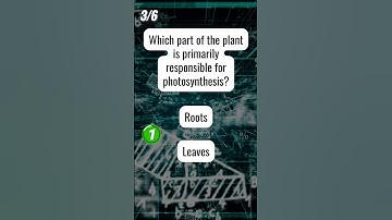 Can You Ace This SCIENCE Quiz? #sciencefacts #scienceknowledge  #quizquestions #sciencequiz