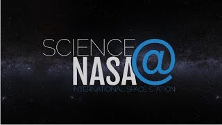 NASA ScienceCasts: Cutting edge Biomanufacturing Aboard the International Space Station