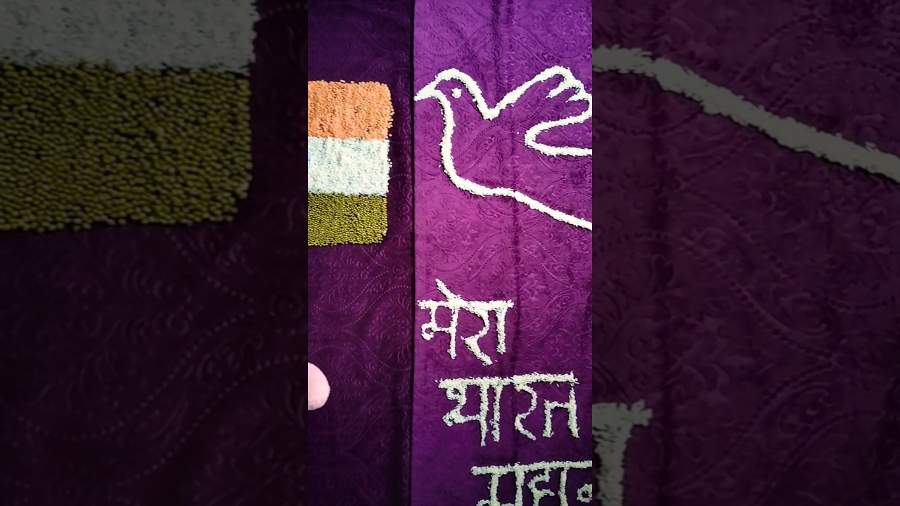 Independence day celebration baby photoshoot ideas 