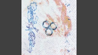 Collapsing