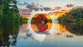 Dj Arny - Ama Amazonia Break (Breakbeat Bboys) Boliviano