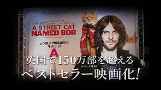 8/26公開！映画『ボブという名の猫 幸せのハイタッチ』 - YouTube