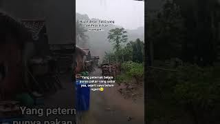 Download Lagu hujan deras menguyur bumi#satuklikuntukwujudkanimpianmu #jalanyangjauhjanganlupapulang MP3