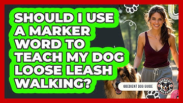 Should I Use A Marker Word To Teach My Dog Loose Leash Walking? - Obedient Dog Guide