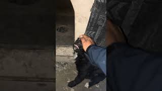 Download Lagu Biliyolar karınalrı doyacak yasin amcaları gelmiş  MP3