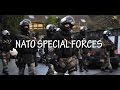 Nato special forces Together 2017