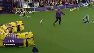 Enes Batur Dolunay Nightcore 2X Shrek