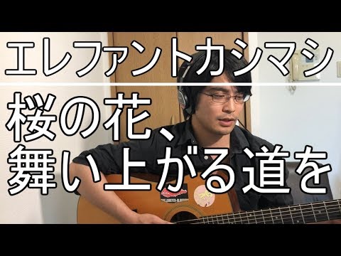 エレファントカシマシ 桜の花、舞い上がる道を 弾き語り フル cover 弾き語り 歌詞付き アコギ 歌ってみた リクエスト ムラモト