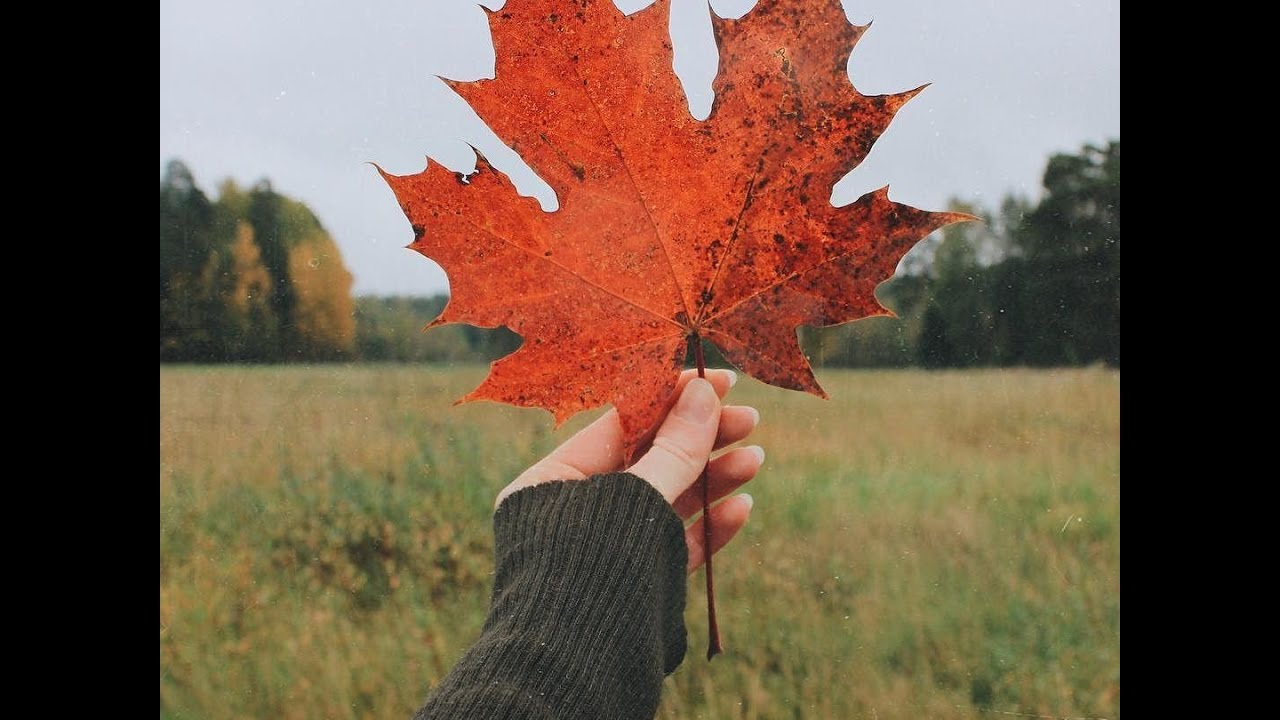 Стихотворения: Есенин "Заметался пожар голубой" , Фет "Я пришел к тебе ...
