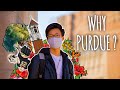 Why i chose purdue university