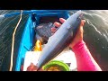 Catch Salmon Fish with Floater and Small Shrimp - Uyabang o Alamang ang Pain Gamit Buya-buya