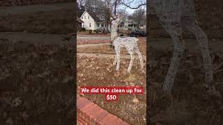 $50 for leaf clean ups #fall #nc #winter #tips #lawncare #landscaping #leaves #cleanup #fypシ゚viral