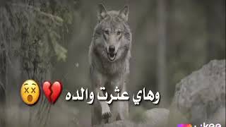 شعر عن القوه