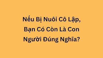 Tự Nhiên Hay Nuôi Dưỡng? Cách Xã Hội Hóa Hình Thành Nhân Cách Con Người | Xã Hội Học 13