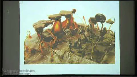 Rachel Dickey "Machine Epistemology" 03.11.2016