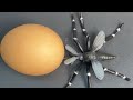 RAW EGG PEELING - Moha melo