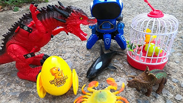 ThảoCady có con cua đồ chơi và các con vật, con khung long, con cua, con cá. Part-141