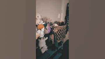 Catcat Mayhem Intro 1