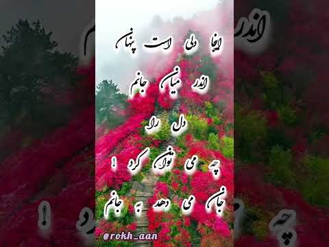 اینجا دلی است پنهان اندر میان جانم دل را چه می توان کرد جان می دهد به جانم رخان