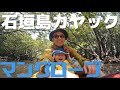 石垣島国立公園のNo.1カヤックツアー！