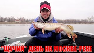 видео: Где искать щуку осенью на реке? картинка: Где искать щуку осенью на реке?