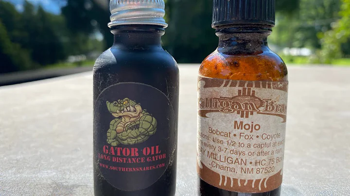 Coyote Trapping.....How we apply lure at our dirt hole sets