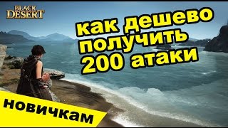 Black Desert - Как дешево сделать 200 атаки в BDO (MMORPG). Советы новичкам Black Desert - Как дешево сделать 200 атаки в BDO (MMORPG). Советы новичкам