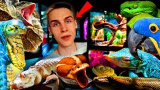 LARGEST Reptile ROOM TOUR In The WORLD! | Feeding ALLIGATORS, Holding SNAKES, Exotic BIRDS, & MORE!