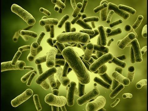 Video: Salapärane Bakterite Kooslus - Alternatiivvaade