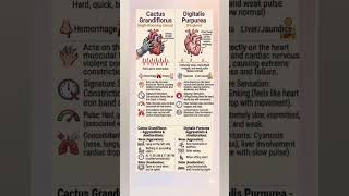 CACTUS V/S DIGITALIS#heart #homeopathicmedicine #materiamedica #easyunderstanding