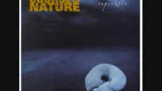 Video thumbnail of "Course of Nature-Could i've been"