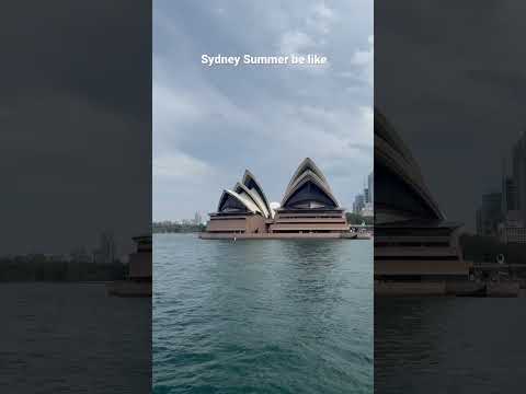 Sydney summer cruising
