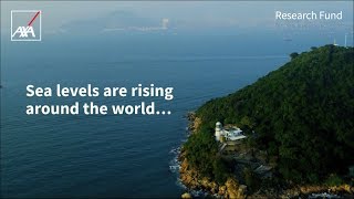 How Will Mangroves React To Climate Change? Axa Research Fund