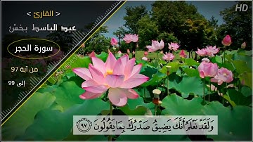 تلاوة تشرح الصدور ❤️ | القارئ : عبد الباسط بخش | حالات واتس اب دينية 2022 | مقاطع انستقرام