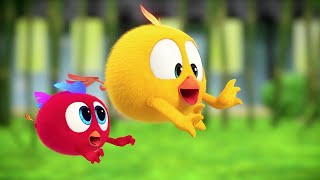 Jardim Da Chicky Onde Está Chicky? Pintinha Amarelinho Coleção Desenhos Animados Infantil Hd