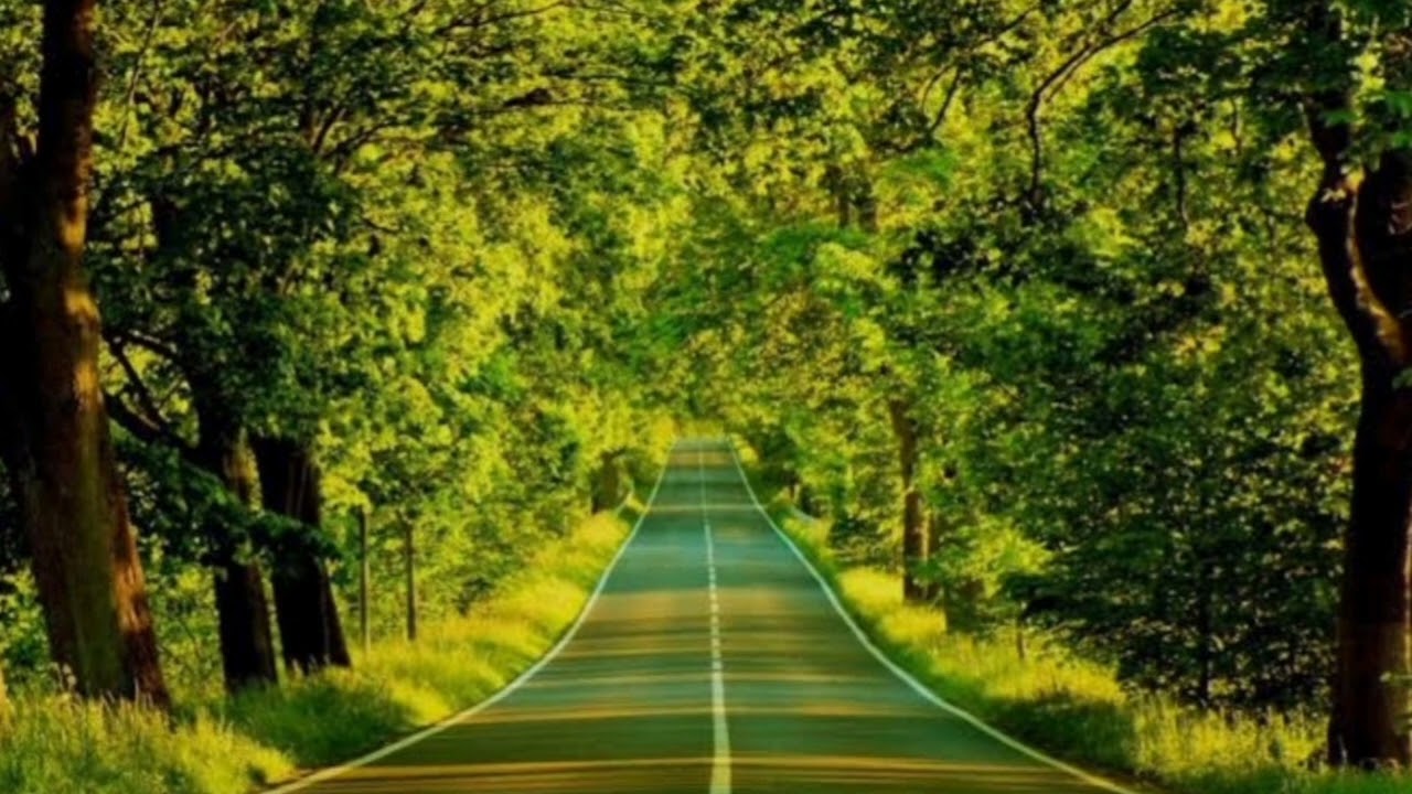 Hayat öyle garibki dostum,harika bi şarki...