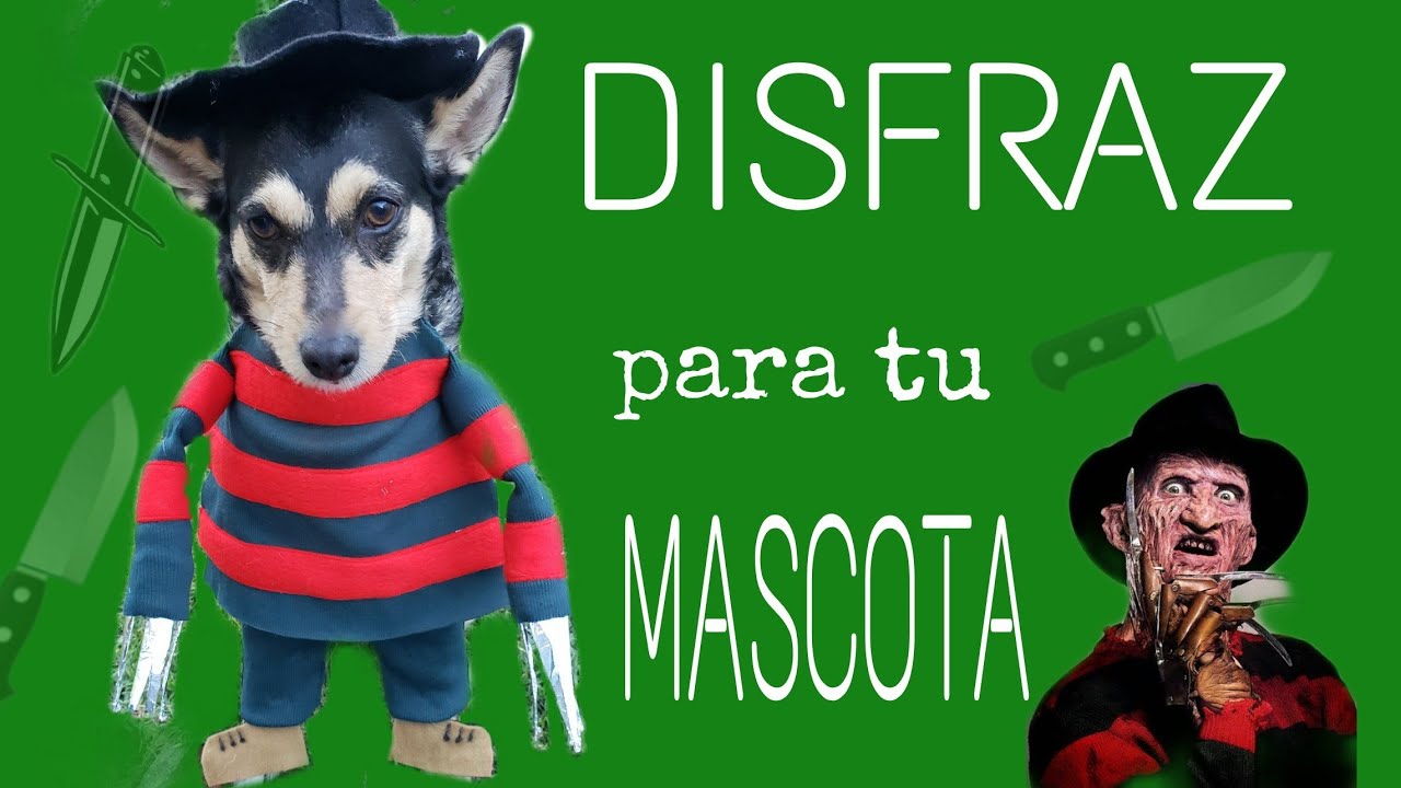 IMPERDIBLE DISFRAZ PARA TU MASCOTA- Fabiana Marquesini - 306