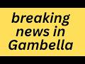 22 2 2026 Full Report Gambella Situation
