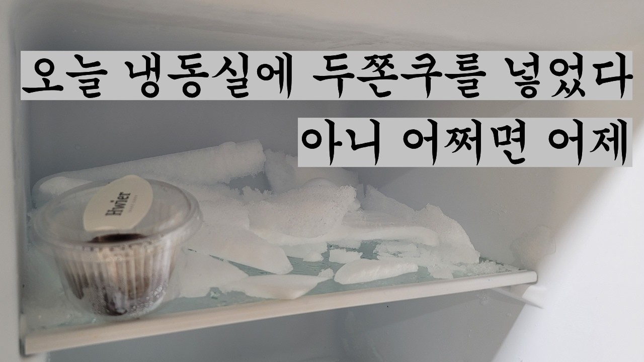 다이어트 브이로그 | 확실히 모르겠다