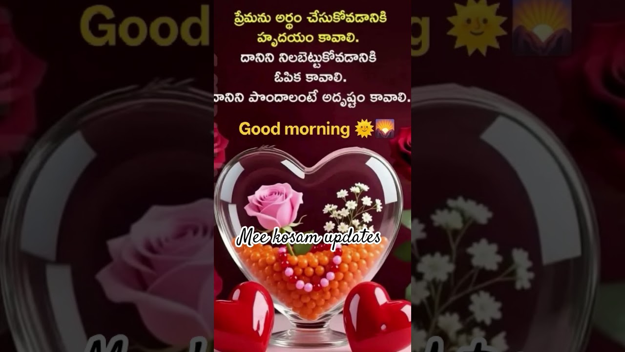 Good morning 🌞🌄🎵💯💤