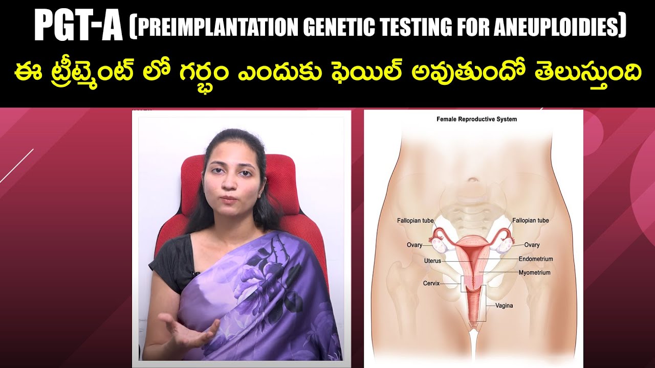 What Is PGT-A(Preimplantation Genetic Testing) | Embryo Genetic Testing |  Dr. Maunica | Ferty9